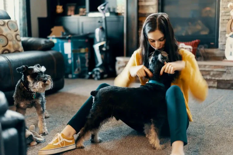 Animaux de compagnie : la liste pour choisir selon votre mode de vie