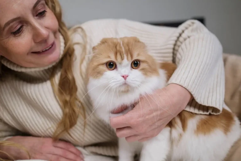 Devenir famille d&rsquo;accueil pour animaux : ce que cela implique vraiment