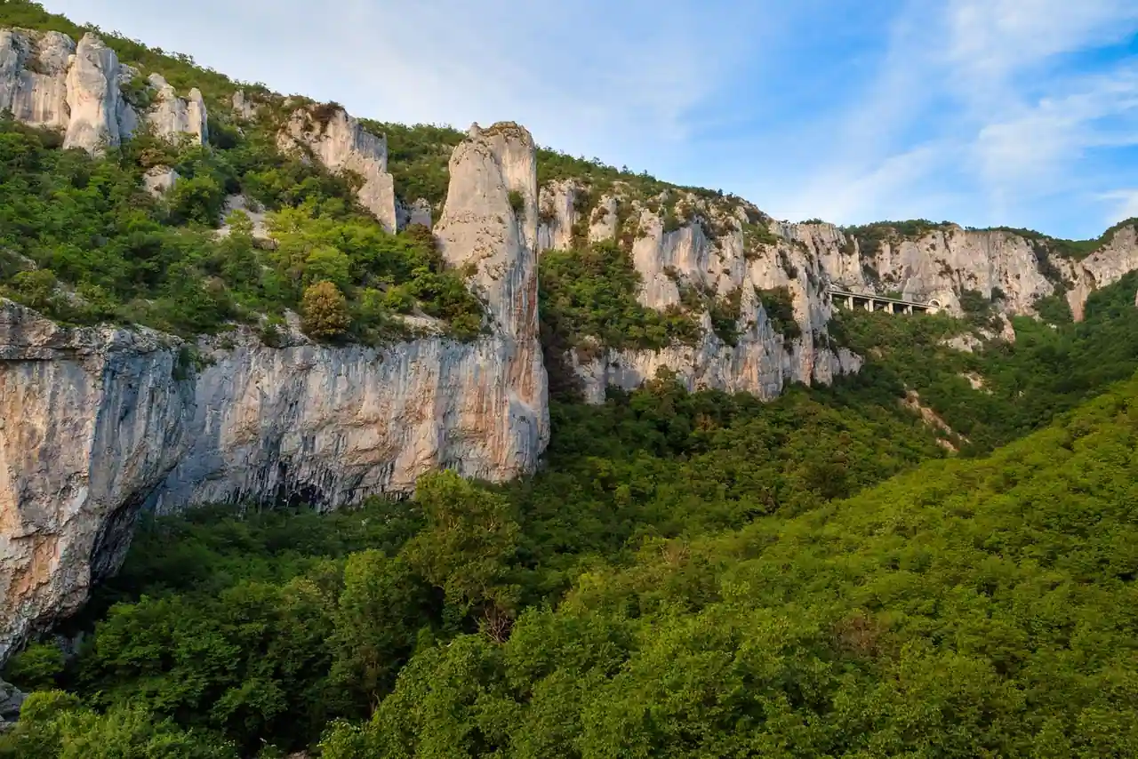 Hautes falaises calcaires surplombant un vallon entièrement couvert de forêt de feuillus